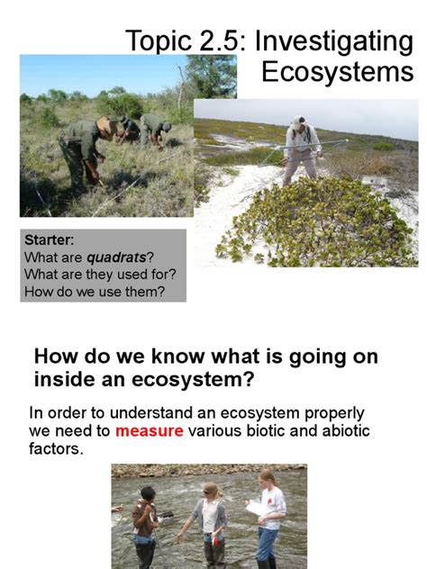 topic 2.5: investigating ecosystems 